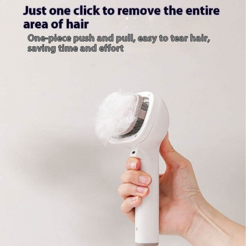 Pet Spray Comb One-click Spray Anti-flying Hair Float Hair Cleaning Cleaning Brush