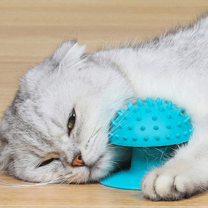 Cat Self-Grooming Brush – Wall-Mounted Rubbing & Scratching Massager
